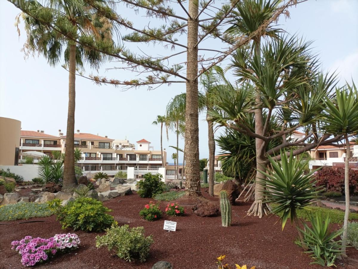 Estudio En Tenerife Con Piscina / Study Flat With Pool Lejlighed San Miguel de Abona Eksteriør billede